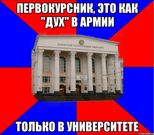 Приколы про университет