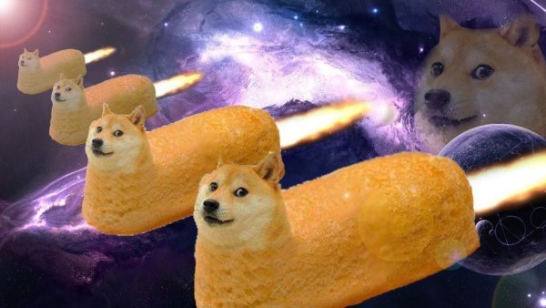 Doge 80