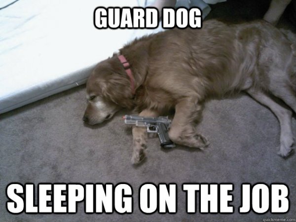 Laras Guard Dog