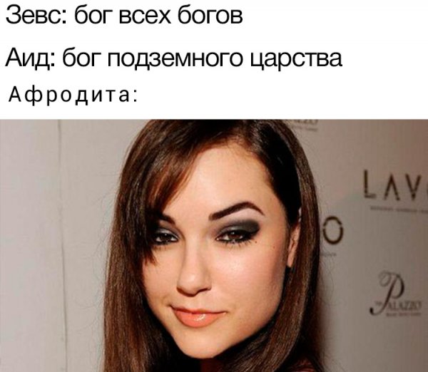 Дел по горло