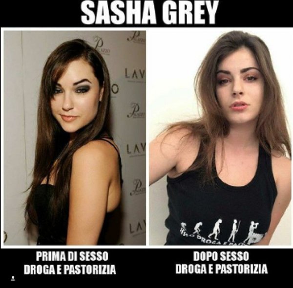 Sasha Grey Мем