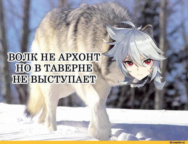 Беннет мемы