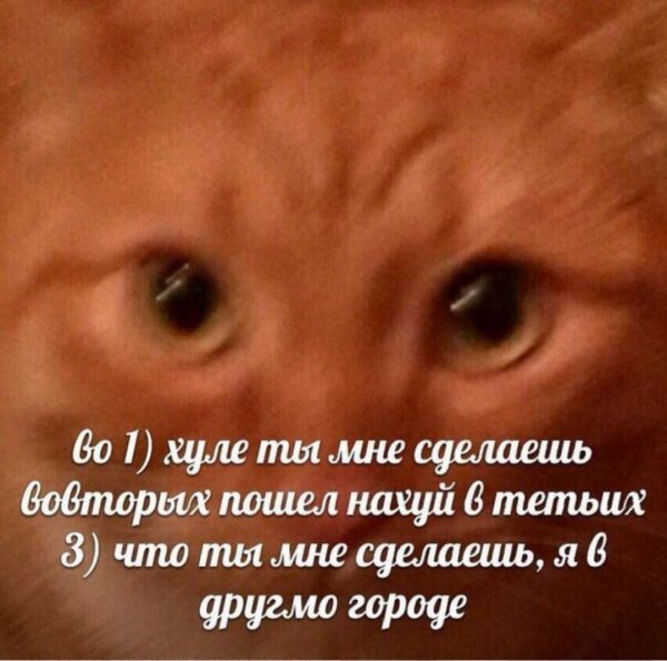 Что ты мне сделаешь я в другом городе