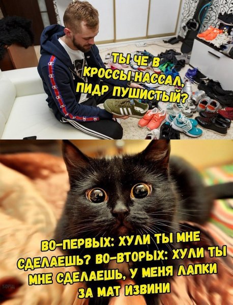 Хуле ты мне сделаешь