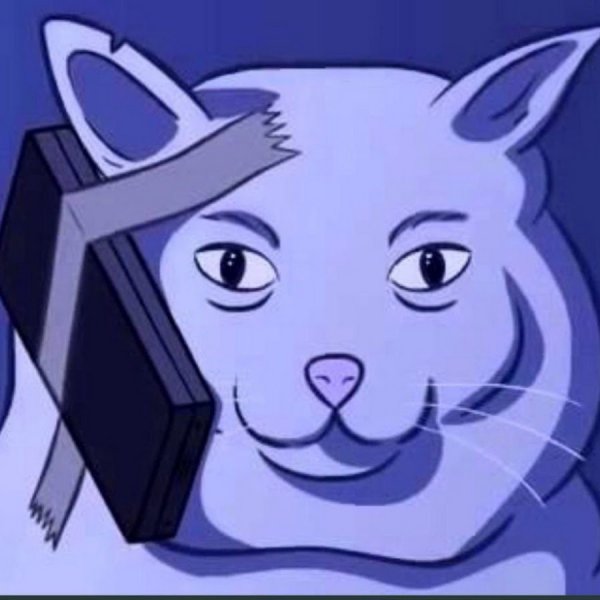 Извините за мат Мем