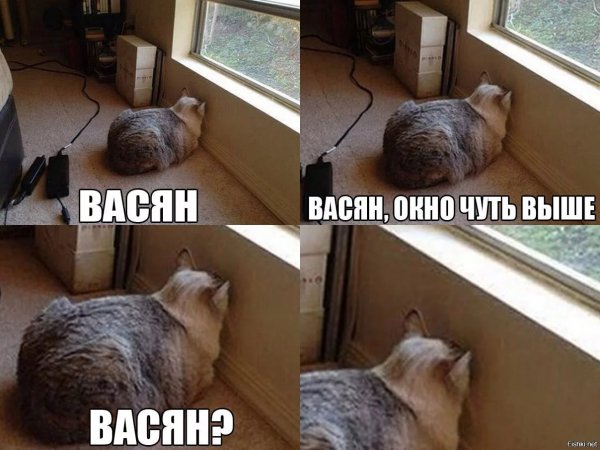 Васян Васян окно чуть выше Васян