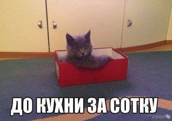 До кухни за сотку