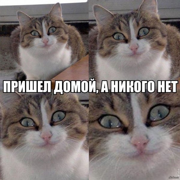 Мемы с надписями