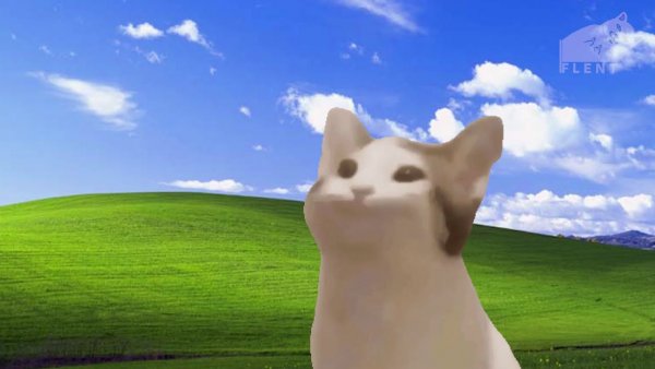 Pop Cat