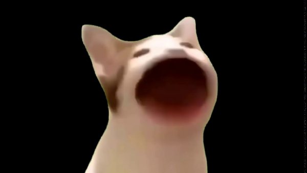 Кот с открытым ртом Мем