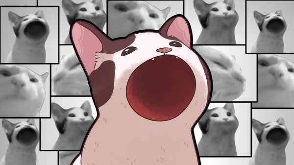 Мемы Pop Cat