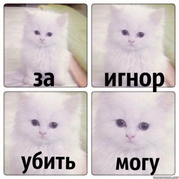Спс за игнор