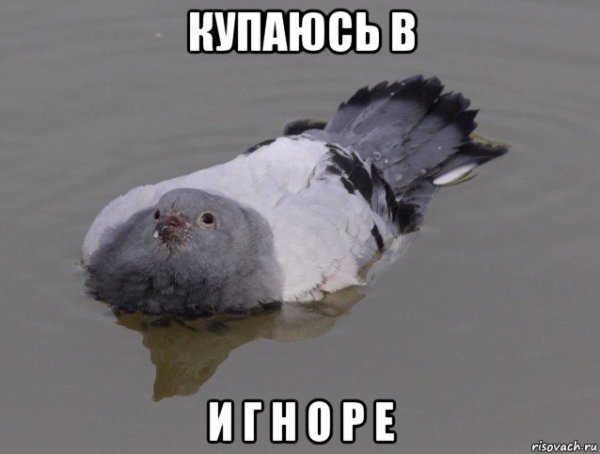 Купаюсь в море твоего игнора