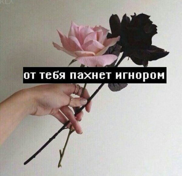 Спасибо за игнор
