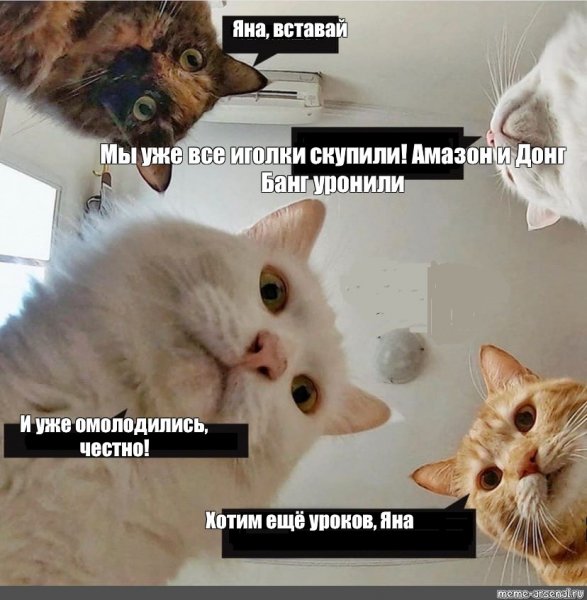 Яна мемы