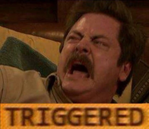 Ron Swanson screaming