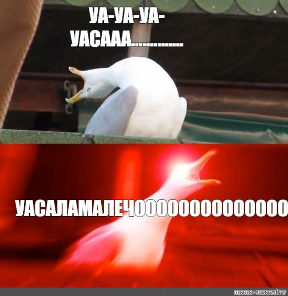 Сайка Мем