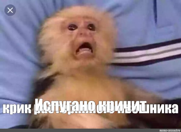Испуганная обезьяна Мем