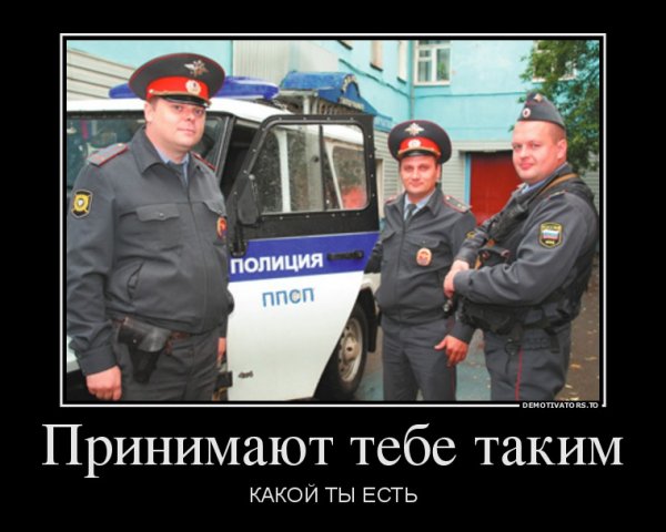 Полиция приколы