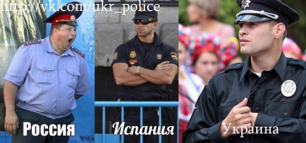 Мемы про полицию США