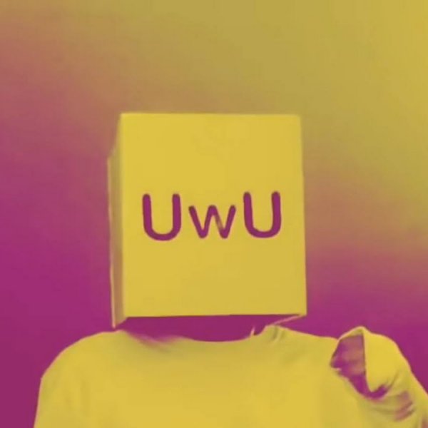 Uwu Мем