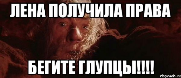 Бегите глупцы права получила права