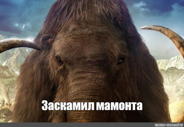 Мамонт заскамил мамонта