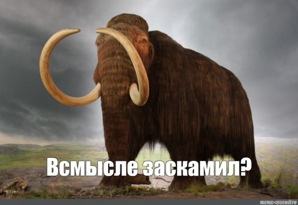 Заскамил Мамонтов