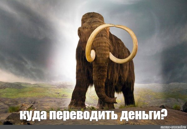 Заскамили Мамонтов