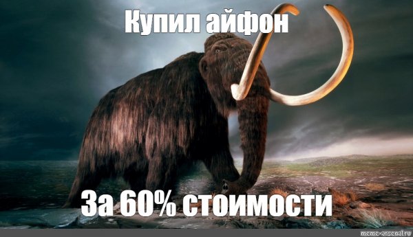 Заскамил Мамонтов