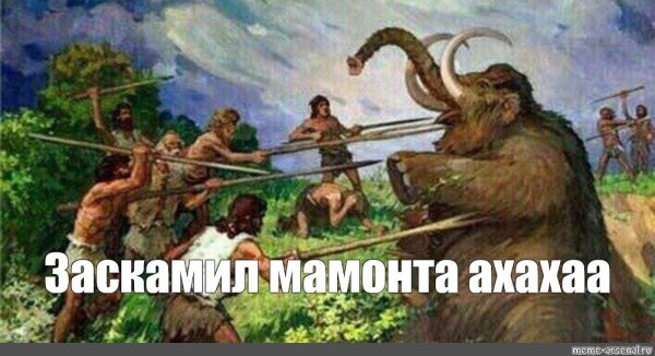 Заскамили мамонта Мем