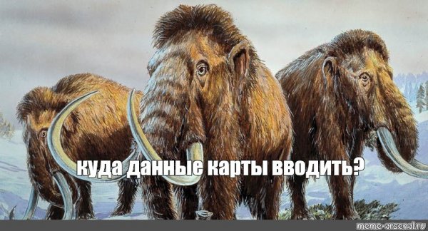 Заскамил Мамонтов