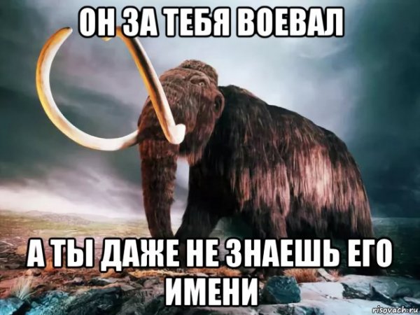 Мамонт СКАМ