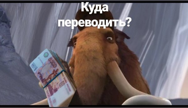 Мамонт переводит деньги