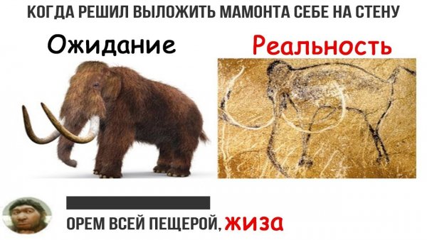 Приколы про Мамонтов