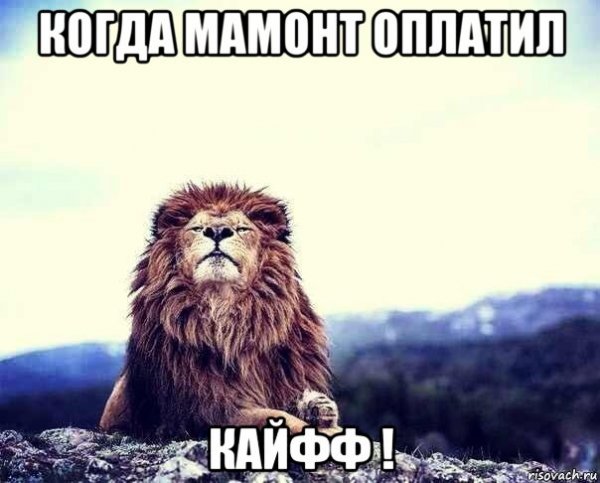 Мамонт мемы