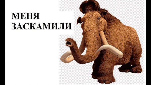 Заскамили мамонта