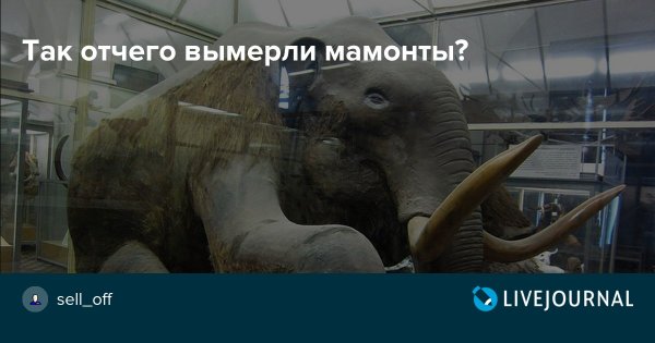 Заскамил Мамонтов мамонт