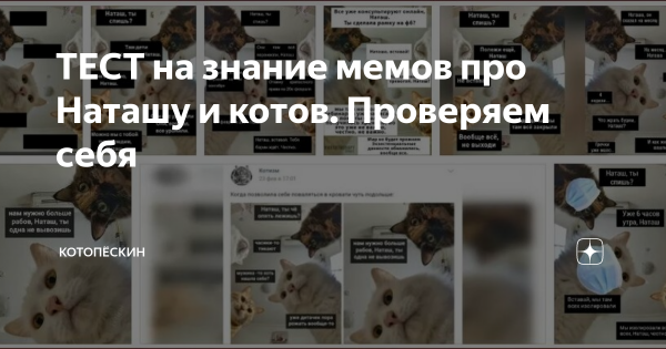 Тест на знание мемов 2020