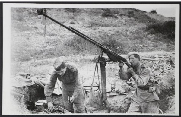 ПТР 1943