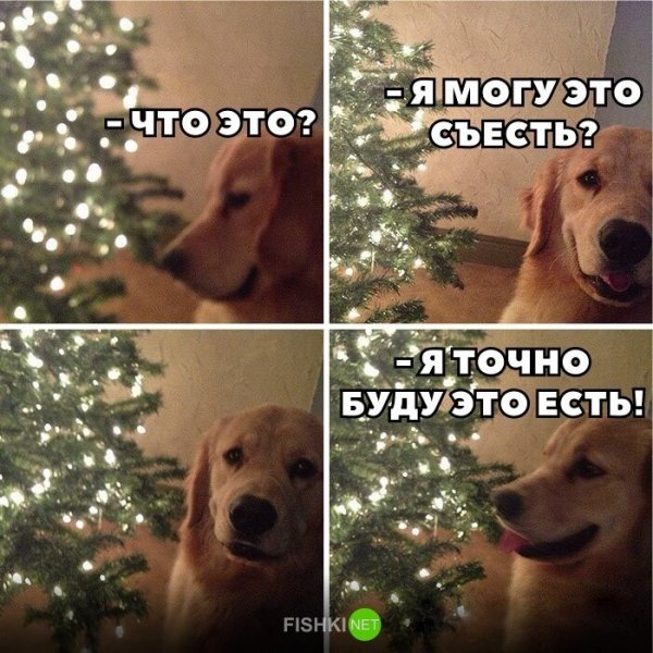 Шутка года