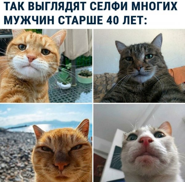 Фото приколы мемы
