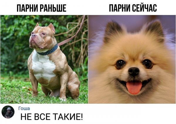 Мемы про Мем смешной ситуация страшная