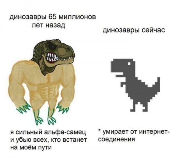 Качок доге и Чимс