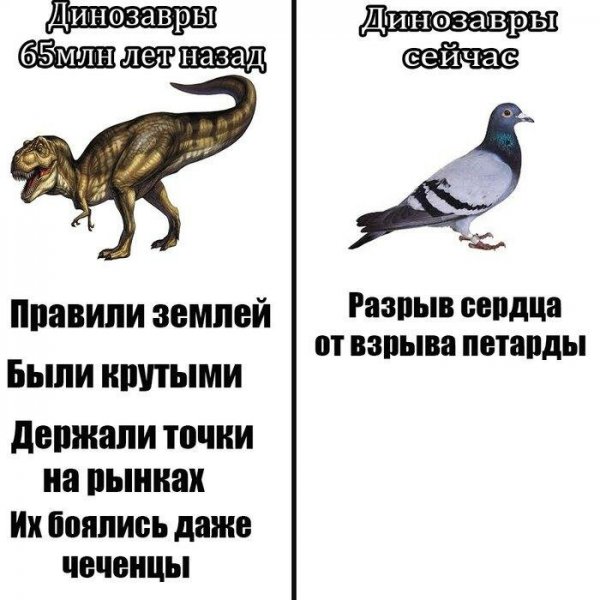 Разрыв сердца от петарды