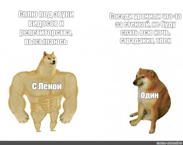 Мем с собаками раньше и сейчас