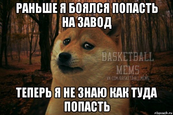 Мне страшно Мем собака