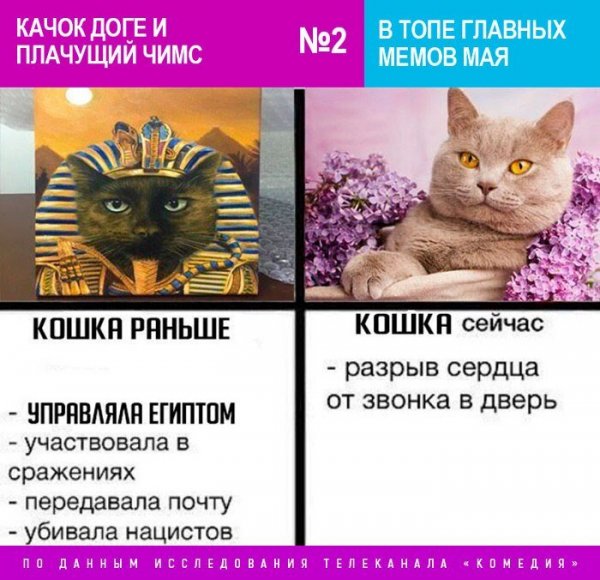Кошки раньше Мем