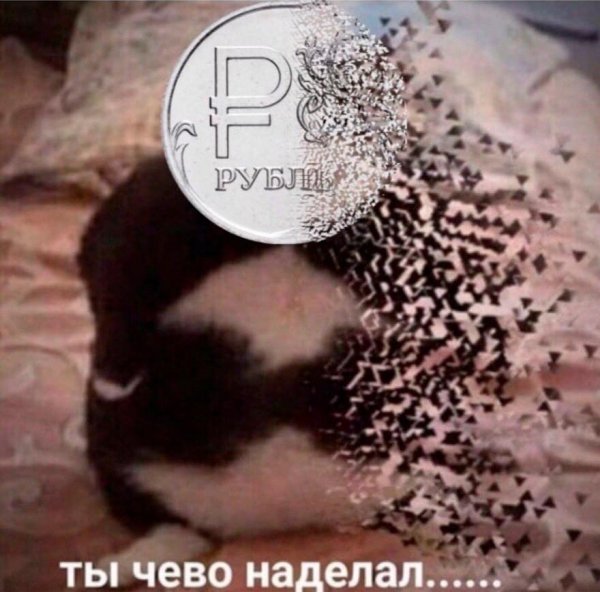 Ты чего наделал
