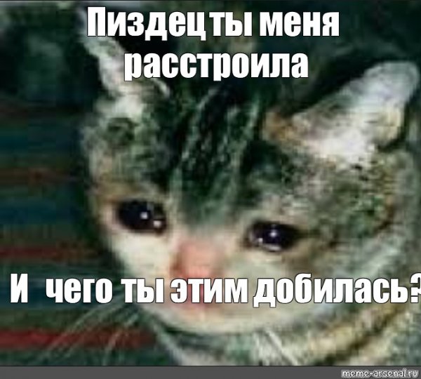 Зачем ты довела меня до слез Мем